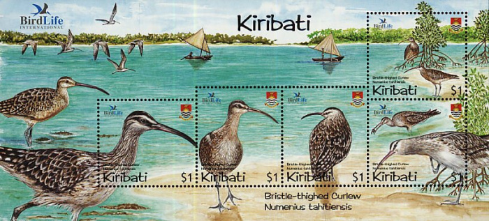 (№2004-53) Блок марок Кирибати 2004 год &quot;Bristlethighed Кроншнепа tahitiensis&quot;, Гашеный